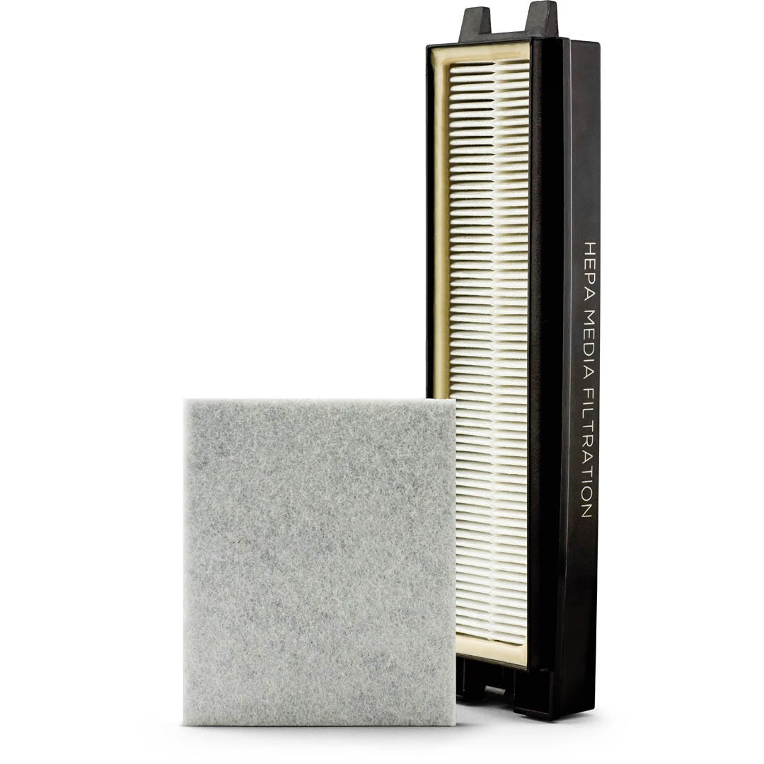 Riccar R25D-F HEPA & Charcoal Filter Set for R25 Deluxe