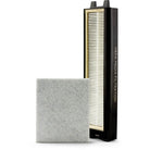 Riccar R25D-F HEPA & Charcoal Filter Set for R25 Deluxe